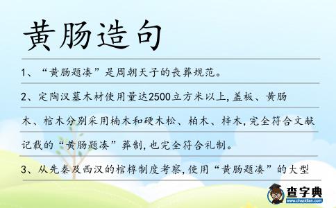 黃腸造句