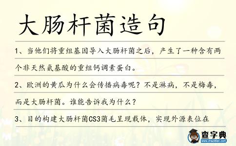 大腸桿菌造句