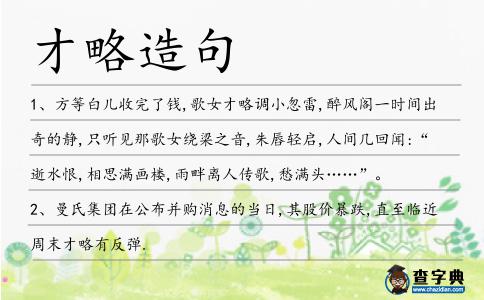 才略造句