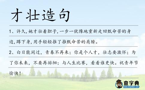 才壯造句