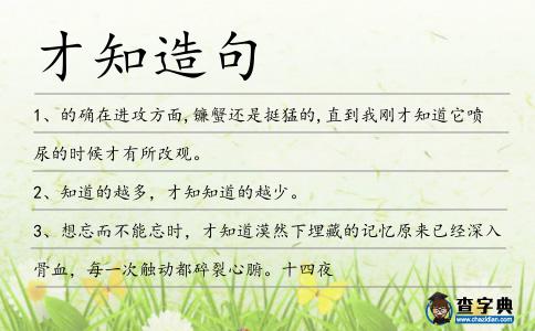 才知造句