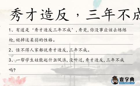 秀才造反﹐三年不成造句