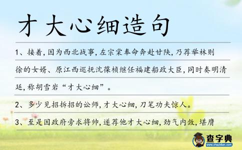 才大心細造句