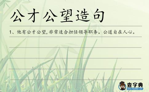 公才公望造句