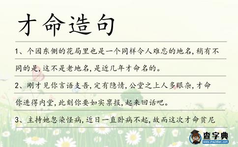 才命造句