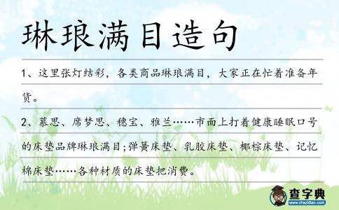 琳瑯滿目造句