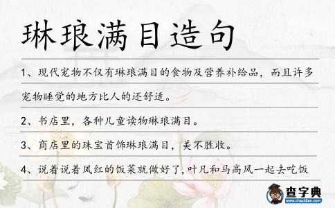 琳瑯滿目造句
