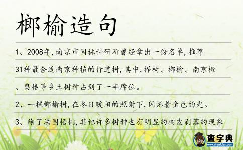 榔榆造句