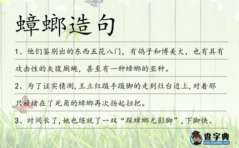 蟑螂造句
