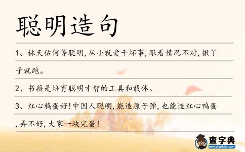 聰明造句