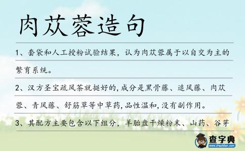 肉蓯蓉造句