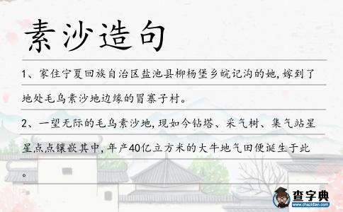 素沙造句