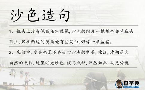 沙色造句