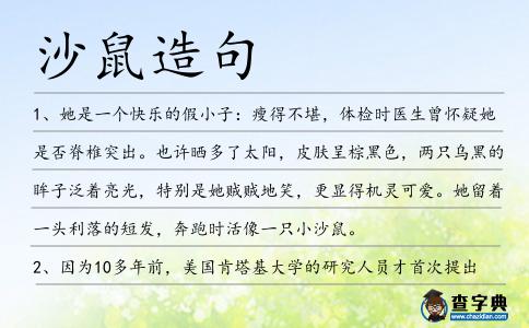 沙鼠造句