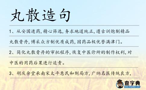 丸散造句