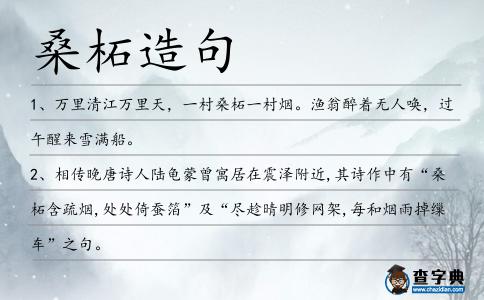 桑柘造句