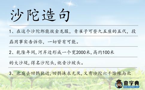 沙陀造句