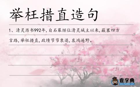 舉枉措直造句