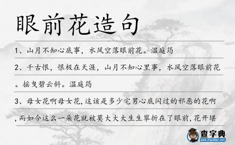 眼前花造句