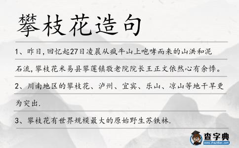 攀枝花造句