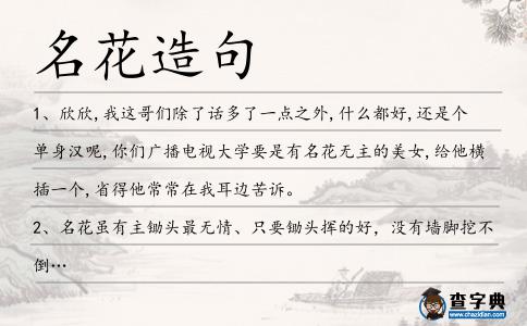 名花造句