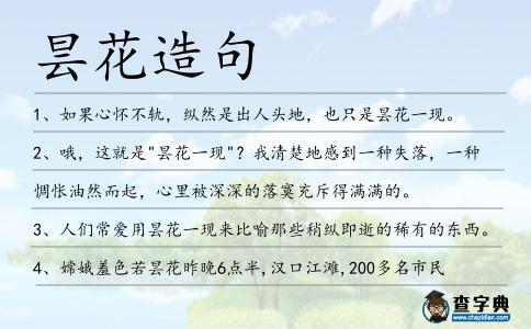 曇花造句
