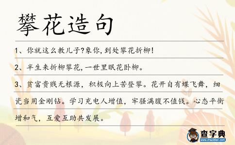 攀花造句