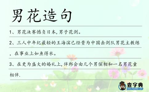 男花造句