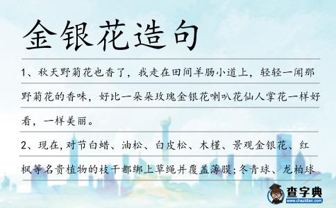 金銀花造句