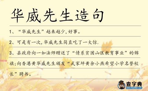 華威先生造句