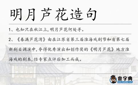 明月蘆花造句