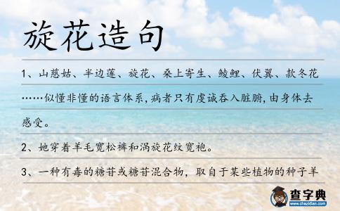 旋花造句