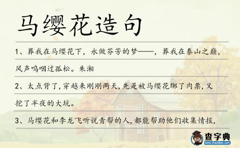 馬纓花造句