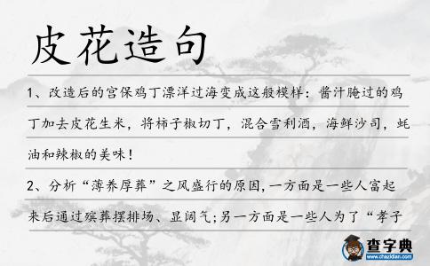 皮花造句
