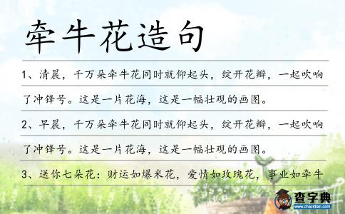 牽?；ㄔ炀?></div>
            <p>1、清晨，千萬(wàn)朵<span style='color: red' class='cred'>牽牛花</span>同時(shí)就仰起頭，綻開(kāi)花瓣，一起吹響了沖鋒號(hào)。這是一片花海，這是一幅壯觀的畫(huà)圖。</p>
<p>2、早晨，千萬(wàn)朵<span style='color: red' class='cred'>牽?；?/span>同時(shí)就仰起頭，綻開(kāi)花瓣，一起吹響了沖鋒號(hào)。這是一片花海，這是一幅壯觀的畫(huà)圖。</p>
<p>3、送你七朵花：財(cái)運(yùn)如爆米花，愛(ài)情如玫瑰花，事業(yè)如<span style='color: red' class='cred'>牽?；?/span>，生活如火焰花，有了愛(ài)情不心花，有了錢(qián)財(cái)不亂花，發(fā)了橫財(cái)記得分我花！</p>
<p>4、白丑則是<span style='color: red' class='cred'>牽?；?/span>的果實(shí),又稱(chēng)牽牛子,其藥用名稱(chēng)為二丑、黑丑、白丑。</p>
<p>5、清晨的路邊，纏纏繞繞的是<span style='color: red' class='cred'>牽?；?/span>。粉紅潔白的小喇叭，向天空敬禮，律動(dòng)的旋律吹奏著一段段優(yōu)美的傳說(shuō)，不知不覺(jué)中悄悄推開(kāi)了黎明的窗。</p>
<p>6、<span style='color: red' class='cred'>牽?；?/span>真多?。∫欢浣又欢?，在陽(yáng)光映照下<span style='color: red' class='cred'>牽牛花</span>五彩繽紛。一眼望去就像一片花海一樣，采一朵插在花瓶里，紅的白的紫的，惹人喜愛(ài)。</p>
<p>7、只聽(tīng)見(jiàn)幾聲沉悶的聲音，一個(gè)個(gè)煙花帶著紅紅的火星竄上了天空，幾聲脆響，夜空綻放出幾朵美麗的花朵。它們的形狀和顏色各不同，有五顏六色的滿(mǎn)天星，金黃色的蒲公英，紫色的<span style='color: red' class='cred'>牽?；?/span>，火紅的玫瑰花……絢麗多彩。</p>
<p>8、一陣風(fēng)吹過(guò)來(lái)，<span style='color: red' class='cred'>牽?；?/span>隨風(fēng)搖擺，像風(fēng)鈴在丁當(dāng)作響。蝴蝶舞過(guò)來(lái)，告訴我昨夜的好夢(mèng)；蜻蜓飛過(guò)來(lái)，告訴我清早的故事。過(guò)了好一會(huì)兒，我才記起我不是<span style='color: red' class='cred'>牽牛花</span>，我是在欣賞著<span style='color: red' class='cred'>牽?；?/span>呢！</p>
<p>9、<span style='color: red' class='cred'>牽?；?/span>成了只只小巧喇叭微風(fēng)搖搖晃晃迎著朝陽(yáng)演奏著支優(yōu)美樂(lè)曲。</p>
<p>10、這個(gè)陽(yáng)臺(tái)朝向上午陰,下午光照強(qiáng),所以較熱,以種植不懼烈日曬的花卉為宜,如梅花、絲瓜、半支蓮、<span style='color: red' class='cred'>牽?；?/span>、凌霄、爬山虎、扶芳藤等。</p>
<p>11、桃花是這樣一種花，她不象纏在別人身上的<span style='color: red' class='cred'>牽?；?/span>，張著小小的花朵自我陶醉她不象夜來(lái)香那樣自私怕羞，只在沉寂的恬靜的夜幕中暗發(fā)幽香她也沒(méi)有象馬蹄花那樣，一經(jīng)風(fēng)雨就紛紛落地她更沒(méi)有象曇花那樣一現(xiàn)香便告哀亡。</p>
<p>12、教室對(duì)面的護(hù)坡上爬滿(mǎn)了<span style='color: red' class='cred'>牽?；?/span>。遠(yuǎn)遠(yuǎn)望去，就像掛著一匹綠底紫花的布。一陣微風(fēng)吹過(guò)，葉子就漾了起來(lái)，像一只只開(kāi)心的蝴蝶撲打著翅膀，翩翩起舞，好看極了！</p>
<p>13、春天愛(ài)上木棉花，夏天單戀<span style='color: red' class='cred'>牽牛花</span>，秋天相思小荷花，冬天獨(dú)愛(ài)水仙花，一年四季如實(shí)愛(ài)，風(fēng)也轉(zhuǎn)來(lái)水也轉(zhuǎn)，只要你肯真心愛(ài)，天涯石爛海角枯，愿真愛(ài)與你同在。</p>
<p>14、法國(guó)人稱(chēng)<span style='color: red' class='cred'>牽?；?/span>為“清晨的美女”，而日本人稱(chēng)之為“朝顏”，都是因?yàn)?span style='color: red' class='cred'>牽牛花</span>的開(kāi)花習(xí)性，清晨開(kāi)花到傍晚閉合，可愛(ài)的小喇叭花只有短短一天的壽命。陳升</p>
<p>15、盛開(kāi)在陽(yáng)光下的<span style='color: red' class='cred'>牽牛花</span>像一只只可愛(ài)的小喇叭。</p>
<p>16、枝頭上的黃鶯“咦咦”地唱著歌，婉轉(zhuǎn)悠揚(yáng)，令人陶醉。<span style='color: red' class='cred'>牽?；?/span>的形狀是那樣好看，酷似一個(gè)個(gè)小喇叭，再加上手巧的村姑娘為她們精心搭配的綠葉，煞是好看。</p>
<p>17、那一串串小喇叭似地<span style='color: red' class='cred'>牽?；?/span>在微風(fēng)中搖搖晃晃，像是在吹奏著歡快的樂(lè)曲。</p>
<p>18、從外形看,王妃藤與<span style='color: red' class='cred'>牽牛花</span>不太像,但是與五角星形的羽葉蔦蘿有幾分神似。</p>
<p>19、花園的圍墻上攀繞著許多<span style='color: red' class='cred'>牽?；?/span>.</p>
<p>20、纏繞在支架上的<span style='color: red' class='cred'>牽牛花</span>綻放得鮮艷美麗。</p>
<p>21、硭硝、蘆薈、<span style='color: red' class='cred'>牽牛花</span>、巴豆。</p>
<p>22、<span style='color: red' class='cred'>牽?；?/span>的藤是細(xì)弱的，只能依靠別人向上爬行，不能獨(dú)自向上生長(zhǎng)，不像牡丹芍藥的枝干那么粗壯。種種比較下，<span style='color: red' class='cred'>牽?；?/span>就像是弱者的象征，但我卻對(duì)它情有獨(dú)鐘。</p>
<p>23、從槐樹(shù)葉底，朝東細(xì)數(shù)著一絲一絲漏下來(lái)的日光，或在破壁腰中，靜對(duì)著象喇叭似的<span style='color: red' class='cred'>牽牛花</span>（朝榮）的藍(lán)朵，自然而然地也能夠感覺(jué)到十分的秋意。郁達(dá)夫</p>
<p>24、大片大片金燦燦的油菜花映入了我的眼簾，我置身于花海中，旁邊還有一群群蜜蜂“嗡嗡”地辛勤工作……除了油菜花，還有<span style='color: red' class='cred'>牽?；?/span>、鈴鐺花和一種不知名的小花，這種小花有五片潔白的花瓣，花瓣最里面是橘黃色和白色的花蕊……遠(yuǎn)處，農(nóng)民伯伯又開(kāi)始辛勤地勞動(dòng)了：播撒谷種、春耕、犁田……</p>
<p>25、花卉盆景區(qū),平架上有倒掛金鐘、吊竹梅、四季海棠、碰碰香、觀賞椒、<span style='color: red' class='cred'>牽牛花</span>以及銅錢(qián)草和幸運(yùn)草等,繁花似錦,芳馨襲人。</p>
<p>26、在酷烈的陽(yáng)光下，<span style='color: red' class='cred'>牽?；?/span>偃旗息鼓，連富貴的牡丹也早已失去神采。</p>
<p>27、啊，<span style='color: red' class='cred'>牽?；?/span>開(kāi)了。六角形的花，像個(gè)小酒杯，在陽(yáng)光的照耀下顯得更加顯眼奪目。</p>
<p>28、每天清晨，<span style='color: red' class='cred'>牽?；?/span>都會(huì)伴著太陽(yáng)吹起紫色的小喇叭，好像在叫我起床；而當(dāng)太陽(yáng)在大地上留下最后一抹余暉時(shí)，<span style='color: red' class='cred'>牽?；?/span>也隨著凋謝了。第二天，又會(huì)有新的一批<span style='color: red' class='cred'>牽?；?/span>伴著太陽(yáng)開(kāi)放……</p>
<p>29、<span style='color: red' class='cred'>牽?；?/span>也病倒了，因?yàn)樗幼约簺](méi)有丁香高大芬芳，就這樣，園中所有的花草樹(shù)木都在自怨自艾。</p>
<p>30、比如<span style='color: red' class='cred'>牽牛花</span>、蔦蘿松、夜來(lái)香、盆栽葡萄等，形態(tài)獨(dú)異，各具千秋。</p>
<p>31、<span style='color: red' class='cred'>牽?；?/span>吹起了紫色的小喇叭，迎春花害臊地綻放黃色的薄紗，月季花打開(kāi)絢麗多彩的長(zhǎng)裙。</p>
<p>32、埃文攤開(kāi)手腳躺在草地上,望著海教帕沿著月牙形邊緣栽種的白色紫心<span style='color: red' class='cred'>牽?；?/span>.</p>
<p>33、我愛(ài)<span style='color: red' class='cred'>牽?；?/span>，更欣賞它不畏艱險(xiǎn)勇于向上攀高的毅力，等結(jié)了種子，我一定讓<span style='color: red' class='cred'>牽?；?/span>來(lái)年在我家生根發(fā)芽。</p>
<p>34、<span style='color: red' class='cred'>牽?；?/span>的果，像盞盞小燈，向下垂著，好像在尋找適宜的地方，然后把種子彈落，讓它在那里安家，到春天，再長(zhǎng)出綠色的小生命。</p>
<p>35、童年是小姑娘發(fā)稍的紅頭繩，童年是小姑娘頭上的蝴蝶結(jié)，童年是小姑娘手中的<span style='color: red' class='cred'>牽?；?/span>。童年是小伙子手中的泥娃娃，童年是小伙子心里的保國(guó)家，童年是小伙子還能光著小腳丫。</p>
<p>36、白芍花吐紅,升麻花綻藍(lán),黃芪開(kāi)白花,<span style='color: red' class='cred'>牽?；?/span>兒笑開(kāi)顏。</p>
<p>37、鄰國(guó)東瀛則相反,在京都,隨處可見(jiàn)<span style='color: red' class='cred'>牽?；?/span>主題的手帕、和服、包裝,各色底子上綻幾朵濃紫之花、碧綠掌形葉片,似乎能看到曉風(fēng)朝露。</p>
<p>38、初次養(yǎng)花的人,由于沒(méi)有經(jīng)驗(yàn),適合養(yǎng)一些觀葉植物,如富貴竹、金鉆蔓綠絨、龜背竹、棕竹等,也可以養(yǎng)一些相對(duì)易養(yǎng)的觀花植物,如紅掌、白掌、矮<span style='color: red' class='cred'>牽?；?/span>等。</p>
<p>39、<span style='color: red' class='cred'>牽牛花</span>是喇叭形，所以又叫喇叭花?；ǖ念伾兴{(lán)、有紫、有紅、有白……味又香又濃。把花放在手里一搓，顏色就染到手上了，挺難洗掉。</p>
<p>40、<span style='color: red' class='cred'>牽?；?/span>吹起了紫色的小喇叭，迎春花害羞地綻放黃色的薄紗，月季花展開(kāi)絢麗多彩的長(zhǎng)裙。</p>
<p>41、我永遠(yuǎn)都沒(méi)有來(lái)得及跟昨天的我道別，我在旅行的路上認(rèn)識(shí)了好些個(gè)人，在我沒(méi)有決定遺忘的時(shí)候，我依舊還是遺忘了她們的名字。我從來(lái)沒(méi)有想過(guò)，該如何跟只活在一天的<span style='color: red' class='cred'>牽?；?/span>說(shuō)再見(jiàn)，我也從來(lái)沒(méi)有想過(guò)，該如何跟只活在昨天的我道別。陳升</p>
<p>42、時(shí)間沉淀愛(ài)戀，只為厚積薄發(fā)，距離緊繃思念，唯求激情碰撞，時(shí)空易情不移，待七夕共嬋娟！驛道路口朝思暮想分分秒秒盼牽牛。花好月圓元旦甜！</p>
<p>43、孤獨(dú)，寂靜，在兩條竹籬笆之中，籬笆上開(kāi)滿(mǎn)了紫色的<span style='color: red' class='cred'>牽牛花</span>，在每個(gè)花蕊上，都落了一只藍(lán)蜻蜓。王小波</p>
<p>44、其中,綠色苗圃種植的品種有云杉、側(cè)柏等,綠草選用麥冬草,其中最具點(diǎn)綴力的是<span style='color: red' class='cred'>牽牛花</span>。</p>
<p>45、在小青蛙眼里，<span style='color: red' class='cred'>牽?；?/span>仿佛一支漂亮的喇叭。</p>
<p>46、那<span style='color: red' class='cred'>牽?；?/span>兒爬在樹(shù)上，調(diào)皮任性，無(wú)拘無(wú)束，就像小孫女纏著老爺爺。</p>
<p>47、清晨，當(dāng)太陽(yáng)剛剛探出小腦袋，一朵朵<span style='color: red' class='cred'>牽?；?/span>便舒展著自己的身體，露出了自己的笑臉。它們?cè)谝桓窀蜕嫌L(fēng)起舞，盡情地展示著自己的舞蹈天賦，快樂(lè)無(wú)比。</p>
<p>48、<span style='color: red' class='cred'>牽?；?/span>多么得意??！早晨，沐浴著柔和的春風(fēng)，它伸伸懶腰，美美地享受著陽(yáng)光的愛(ài)撫。夜晚，銀白色的月光照射在它身上，給它披上了一層薄薄的輕紗，！它是那樣的典雅嬌媚。</p>
<p>49、一束陽(yáng)光柔和地灑在她柔弱嬌小的身軀上，此時(shí)的<span style='color: red' class='cred'>牽?；?/span>比原來(lái)更翠綠，更鮮艷動(dòng)人，經(jīng)過(guò)風(fēng)雨的考驗(yàn)，她會(huì)生長(zhǎng)得比以前更快，更燦爛……</p>
<p>50、<span style='color: red' class='cred'>牽?；?/span>開(kāi)了，一個(gè)個(gè)小花蕾在綠葉叢中伸出來(lái)像一個(gè)個(gè)小棒槌，直直地立著，五顏六色的花朵像一個(gè)個(gè)漂亮的小酒杯，竟相開(kāi)放。</p>
<p>51、這些<span style='color: red' class='cred'>牽?；?/span>，一個(gè)個(gè)都像張揚(yáng)的小喇叭，朝著天空高喊著自己的豪言壯語(yǔ)，又像滿(mǎn)盛著瓊漿玉液的玲瓏的高腳杯，等待著凱旋歸來(lái)的眾將士們開(kāi)懷痛飲。</p>
<p>52、一個(gè)情人來(lái)說(shuō)，不管多么漫長(zhǎng)的時(shí)光也是稍縱即逝，那時(shí)他便明白，每一步每一步，其實(shí)一步步都是走在回去的路上。當(dāng)<span style='color: red' class='cred'>牽牛花</span>初開(kāi)的時(shí)節(jié)，葬禮的號(hào)角就已吹響。</p>
<p>53、此項(xiàng)綠化工作將新增立體式花柱16個(gè)、分車(chē)島頭花缽50個(gè),3000株蔓生垂吊式<span style='color: red' class='cred'>牽?；?/span>,分裝在600個(gè)花盆中擺放在花座上,成為新的綠化亮點(diǎn)。</p>
<p>54、春天，聞一聞花，有一股清香，這種味道不像玫瑰濃烈，也不像<span style='color: red' class='cred'>牽牛花</span>一樣淡而無(wú)味，只是一股淡淡的清香。真讓人不由得想吃上一顆，圍著雪白的柱子轉(zhuǎn)呀轉(zhuǎn)，轉(zhuǎn)累了就休息。</p>
<p>55、我喜歡<span style='color: red' class='cred'>牽牛花</span>因?yàn)樗形宀世_紛的顏色，非常美麗。而且，<span style='color: red' class='cred'>牽?；?/span>不用人們種植、施肥，也不用人們澆水，就可以綻放出漂亮的花朵。所以，我喜歡<span style='color: red' class='cred'>牽牛花</span>。</p>
<p>56、那些<span style='color: red' class='cred'>牽?；?/span>的葉子翠綠翠綠的，像碧玉、像翡翠，在炎炎的夏日里看到它們就覺(jué)得沁人心脾，舒服極了。</p>
<p>57、尋找人間不存在的禁斷之花，千萬(wàn)不要去尋找黃色的<span style='color: red' class='cred'>牽牛花</span>！東野圭吾</p>
<p>58、<span style='color: red' class='cred'>牽?；?/span>長(zhǎng)著心形的葉子，開(kāi)著喇叭形的花，那花朵有紫的、粉的、白的、黃的，還有幾種顏色夾在一起的花的，真是五顏六色，好看極了！</p>
<p>59、陽(yáng)臺(tái)的花盆里栽著一株<span style='color: red' class='cred'>牽?；?/span>。它長(zhǎng)著心形的葉子，開(kāi)著喇叭形的花，那花朵有紫的粉的白的黃的，還有幾種顏色夾在一起的花的，真是五顏六色，好看極了！</p>
<p>60、那<span style='color: red' class='cred'>牽牛花</span>兒爬在樹(shù)上，調(diào)皮任性，無(wú)拘無(wú)束，就像小孫女纏著老爺爺。那一串串小喇叭似地<span style='color: red' class='cred'>牽?；?/span>在微風(fēng)中搖搖晃晃，像是在吹奏著歡快的樂(lè)曲。</p>
<p>61、每年例行的淺草寺錦燈籠市場(chǎng)和入谷街道上的<span style='color: red' class='cred'>牽?；?/span>市場(chǎng),把江戶(hù)時(shí)代的風(fēng)情延續(xù)至今,很少實(shí)行交通管制的東京警方會(huì)為這樣的活動(dòng)封鎖道路。</p>
<p>62、<span style='color: red' class='cred'>牽?；?/span>：美麗的<span style='color: red' class='cred'>牽?；?/span>姐姐，你是那么俊俏，那么美麗。</p>
<p>63、下午光照強(qiáng),所以較熱,以種植不懼烈日曬的花卉為宜,如梅花、絲瓜、半支蓮、<span style='color: red' class='cred'>牽?；?/span>、凌霄、爬山虎、扶芳藤等。</p>
<p>64、在小松鼠眼里，<span style='color: red' class='cred'>牽?；?/span>仿佛一條漂亮的裙子。</p>
<p>65、如果依靠就能成長(zhǎng)，<span style='color: red' class='cred'>牽?；?/span>只需要欄桿。</p>
<p>66、在小鴨子眼里，<span style='color: red' class='cred'>牽?；?/span>仿佛一頂漂亮的帽子。</p>
<p>67、春牡丹夏芍藥秋菊冬梅，爛漫花叢里僅多情紅豆，驛道路口朝思暮想分分秒秒盼牽牛?；ê迷聢A在七夕，在這個(gè)特別的日子里，祝大家七夕快樂(lè)。</p>
<p>68、王盟肯定會(huì)被整的屁股冒煙，但是他有這種一邊冒煙一邊把事情辦成的能力，因?yàn)樗恢v究。人生最怕的就是不講究，你要青花瓷，他給你一朵青色的<span style='color: red' class='cred'>牽?；?/span>，還是雌的。南派三叔</p>
<p>69、人生最怕的就是不講究，你要青花瓷，他給你一朵青色的<span style='color: red' class='cred'>牽?；?/span>，還是雌的。南派三叔</p>
<p>70、<span style='color: red' class='cred'>牽牛花</span>的果，像盞盞小燈，向下垂著，好像在尋找適宜的地方，然后把種子彈落，讓它在那里安家。</p>
<p><p>71、至于階前花圃中的草茉莉、鳳仙花、<span style='color: red' class='cred'>牽?；?/span>、扁豆花,更是四合院的家常美景了。<span style=