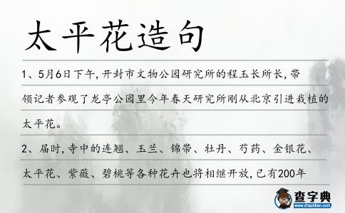 太平花造句