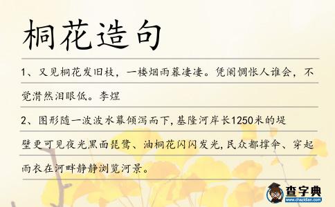 桐花造句