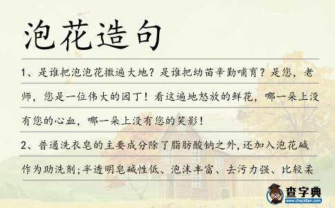 泡花造句
