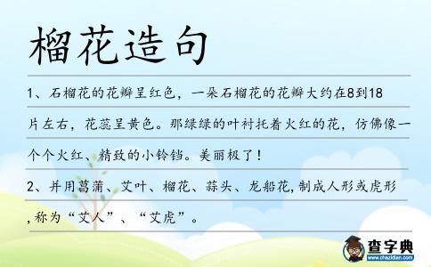 榴花造句