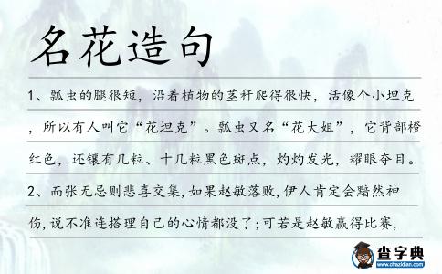 名花造句