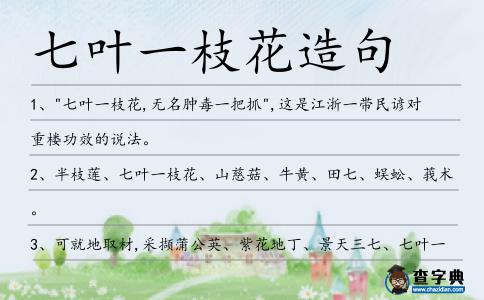 七葉一枝花造句