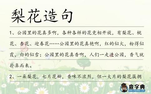 梨花造句