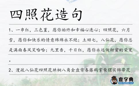 四照花造句