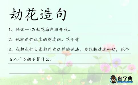劫花造句