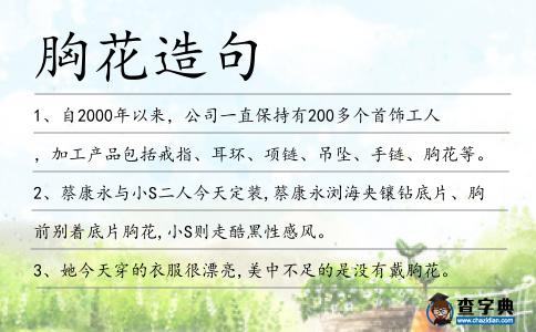 胸花造句