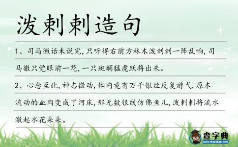潑剌剌造句