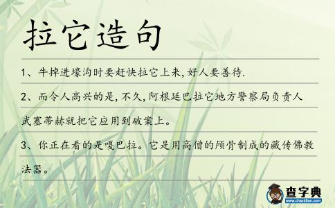 拉它造句