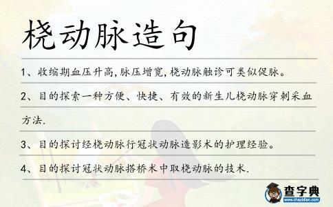 橈動脈造句