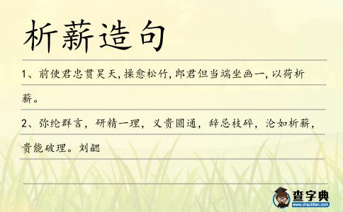 析薪造句
