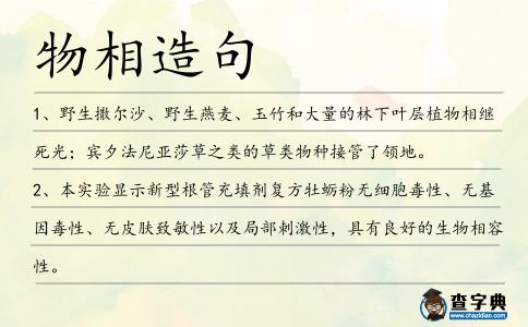 物相造句